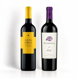 ATAMISQUE Malbec + ALFA CRUX Corte Uco